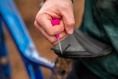 Muc-Off Puncture Plugs Refill Pack Produktbild 4