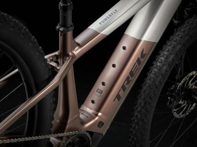 Trek Powerfly+ 8 EU M 29 Satin Lunar Silver/Bronze Age Produktbild 4