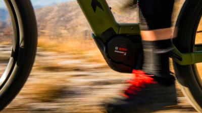 Trek PowerflyFS4 800EU L 29 Fury Red / Dark Star Gloss Produktbild 6