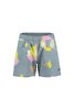 Maloja BergiselM. Organic Cotton Shorts sage fieldflower XL