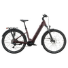 Scott Axis 10 Wave - aubergine red - XL
